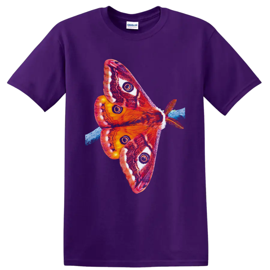 Colorful Cecropia moth illustration with red orange wings, eyespots, and blue branch on a Purple T Shirt