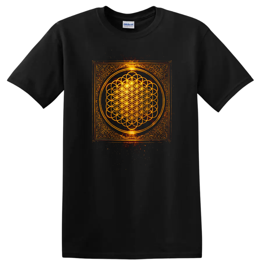 Vintage Classic Rock Album Cover Art Style T Shirt - Black