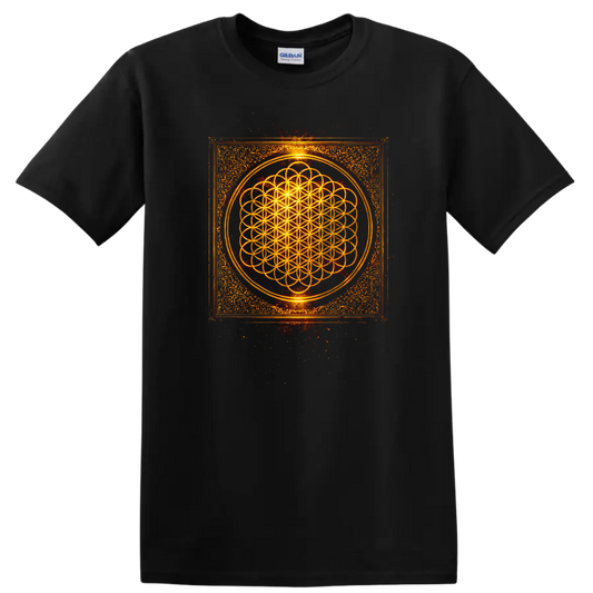 Vintage Classic Rock Album Cover Art Style T Shirt - Black