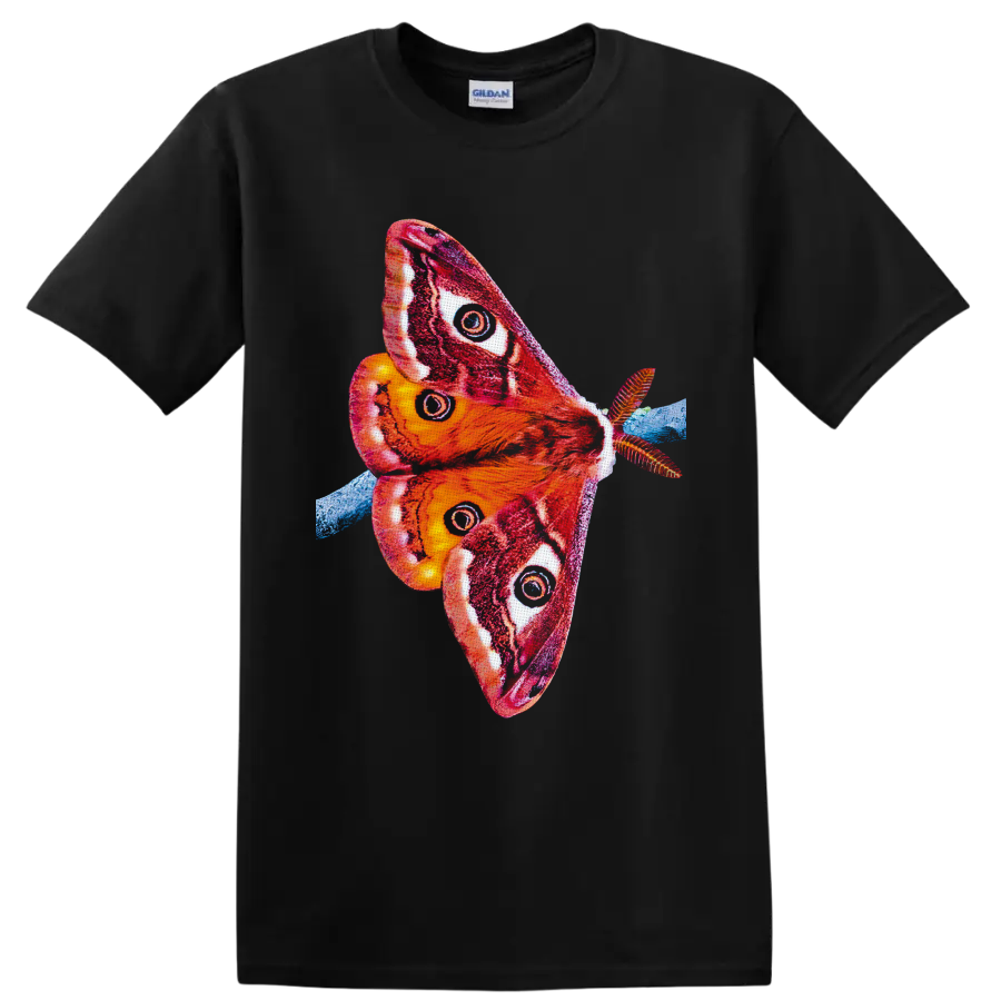 Colorful Cecropia moth illustration with red orange wings, eyespots, and blue branch on a Black T Shirt