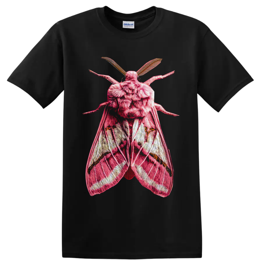 Detailed pink moth with textured wings and feathery antennae in gothic entomology art on a Black T Shirt
