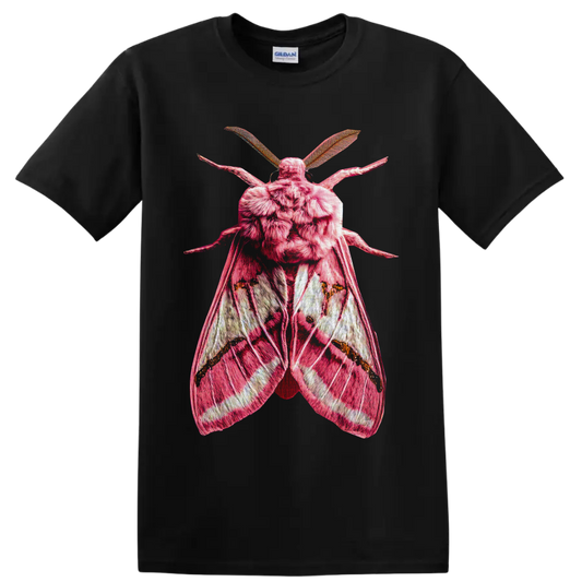 Detailed pink moth with textured wings and feathery antennae in gothic entomology art on a Black T Shirt