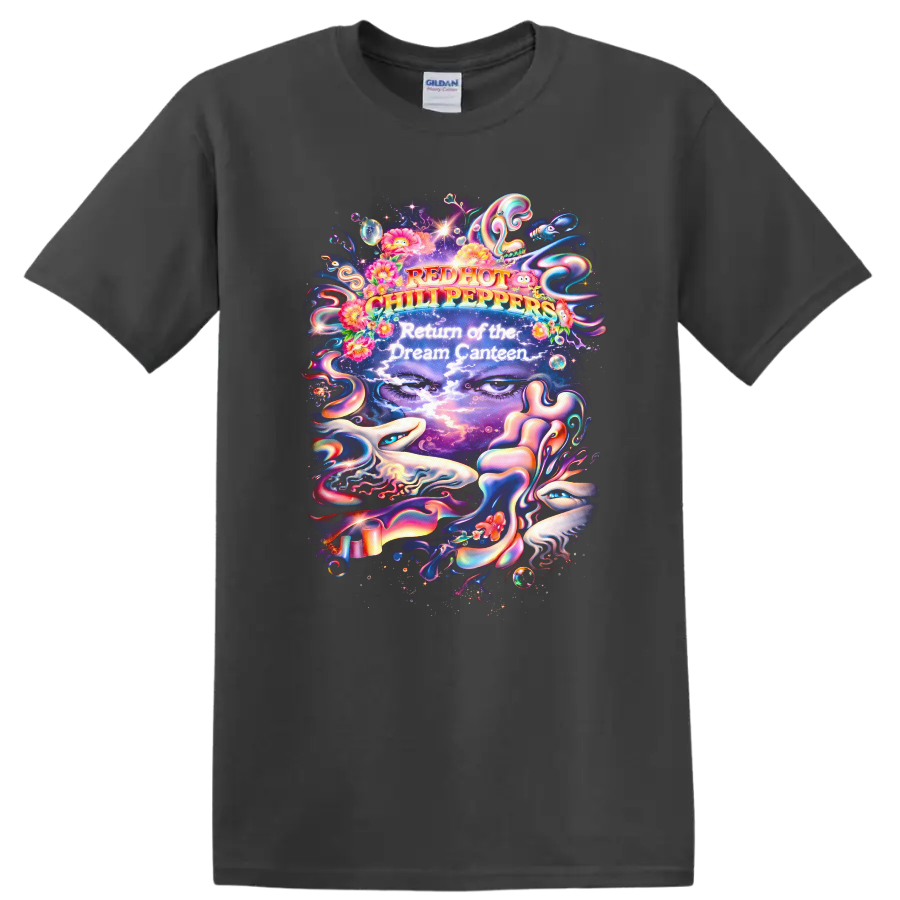 Red Hot Chili Peppers Dream Canteen T Shirt - Vintage Classic Rock Art - Charcoal