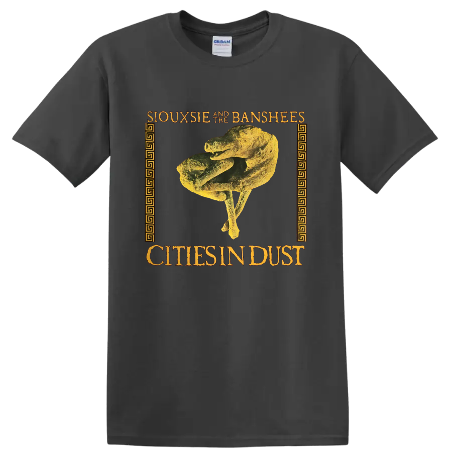 Siouxsie and the Banshees Cities in Dust gothic skeletal graphic print on a Charcoal T Shirt