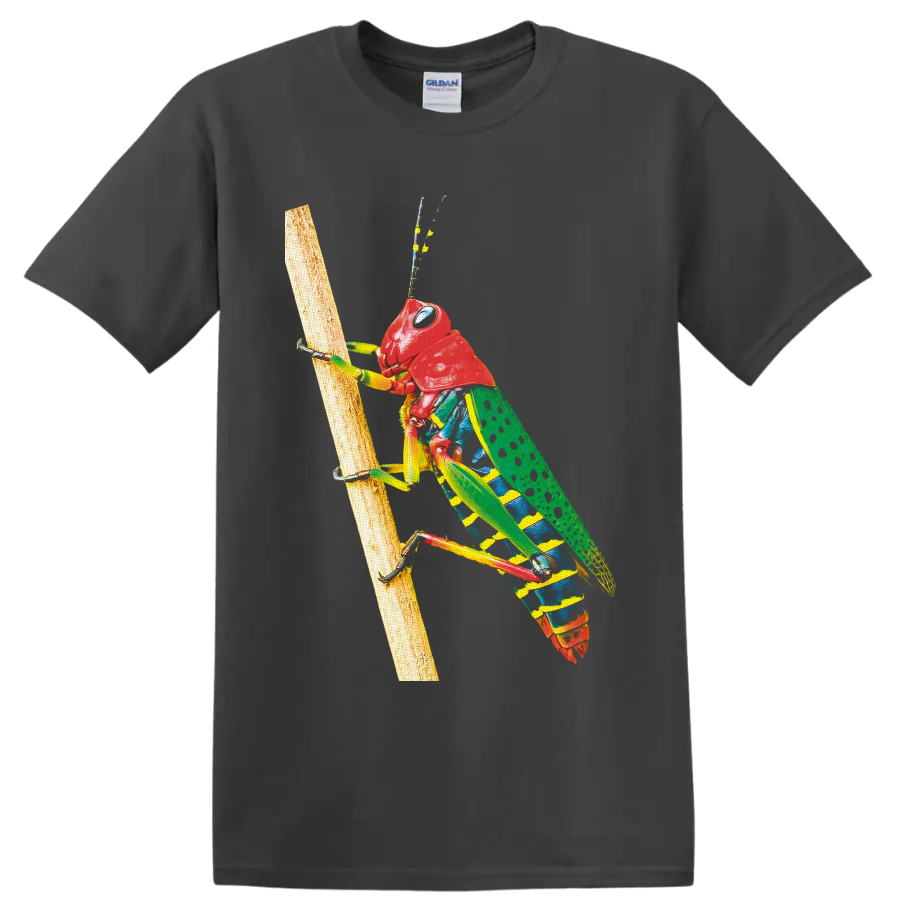 Colorful grasshopper climbing a branch in detailed wildlife illustration on a Charcoal T Shirt