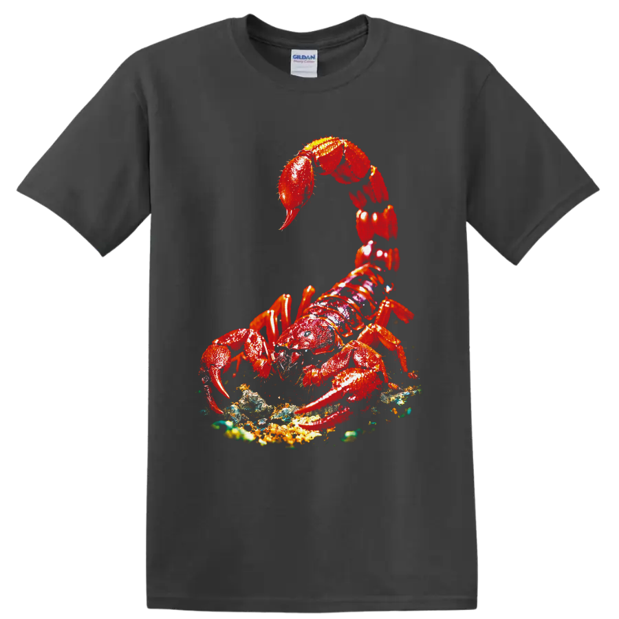 Vivid red lobster with raised claws on a textured ocean-floor graphic on a Charcoal T Shirt