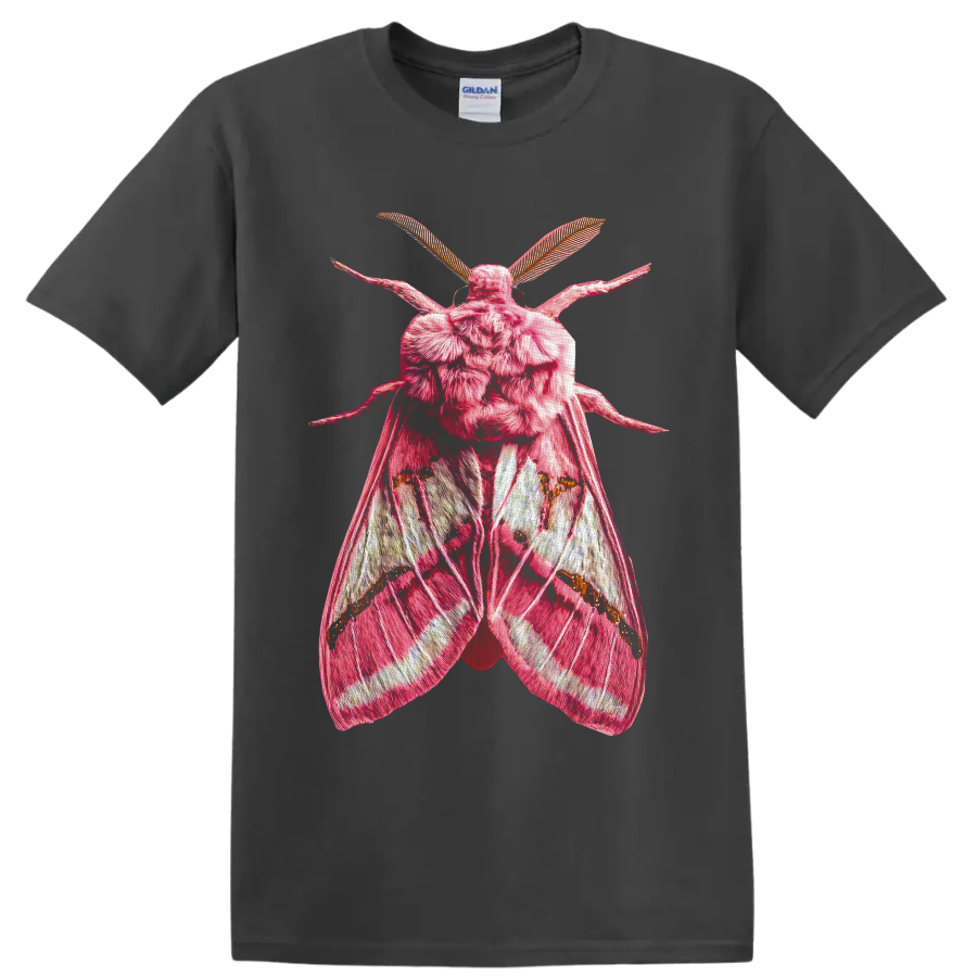 Detailed pink moth with textured wings and feathery antennae in gothic entomology art on a Charcoal T Shirt