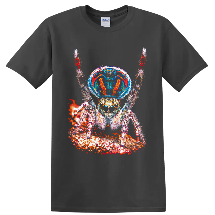 Psychedelic jumping spider with mushroom-inspired cap and vivid textured woodland art on a Charcoal T Shirt