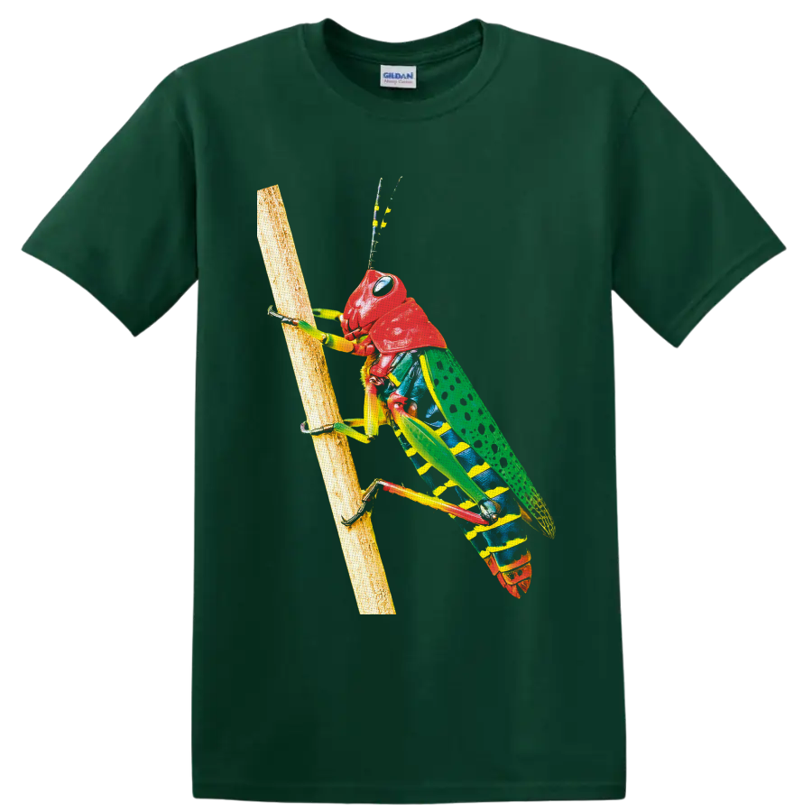 Colorful grasshopper climbing a branch in detailed wildlife illustration on a Forest Green T Shirt