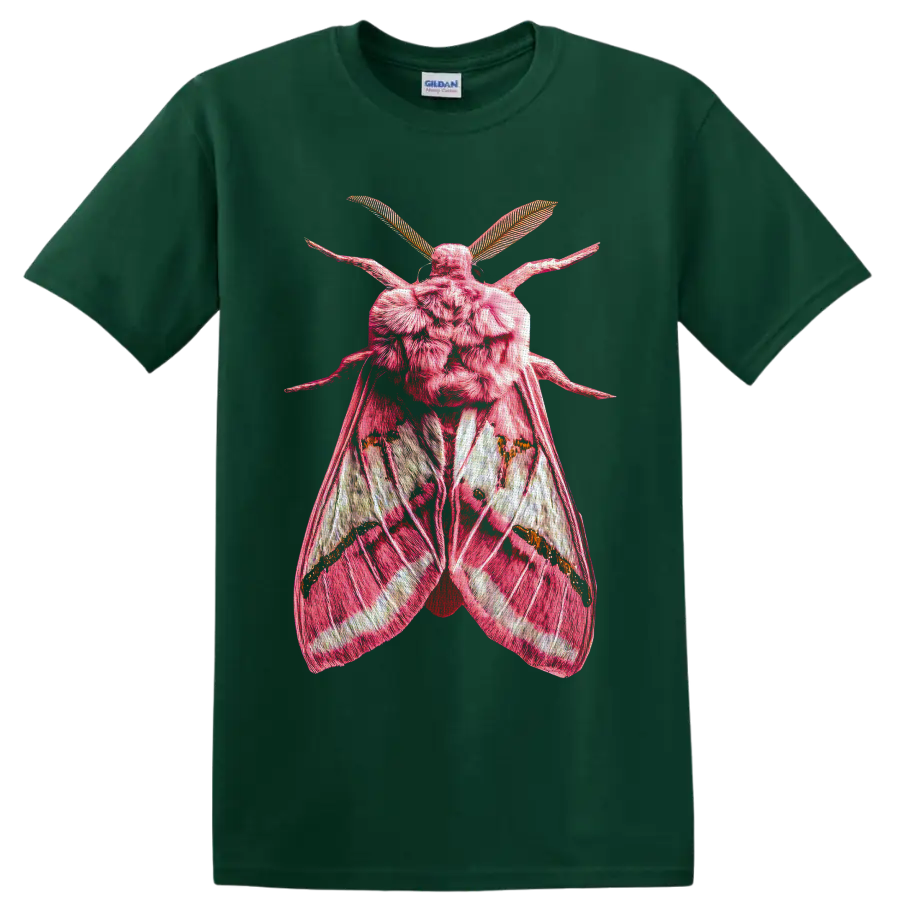 Detailed pink moth with textured wings and feathery antennae in gothic entomology art on a Forest Green T Shirt