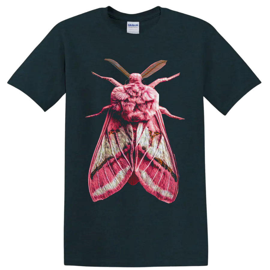 Detailed pink moth with textured wings and feathery antennae in gothic entomology art on a Midnight (Green) T Shirt